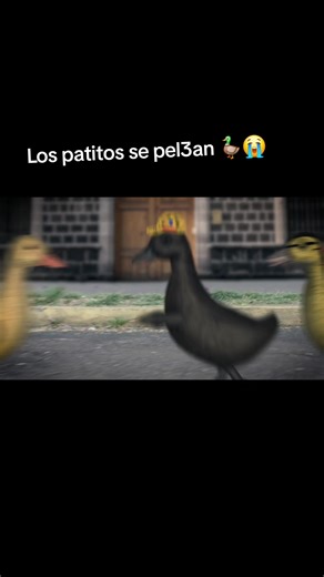 mañana 3 de enero se estrena el capítulo de Los Patos Ilustres en yutub 🦆