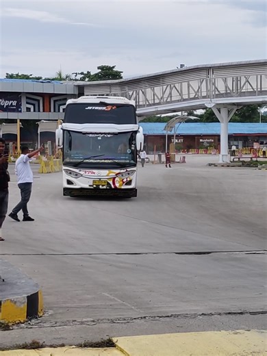 Bus NPM Terbaru: Cerita dan Kontes Driver Muda