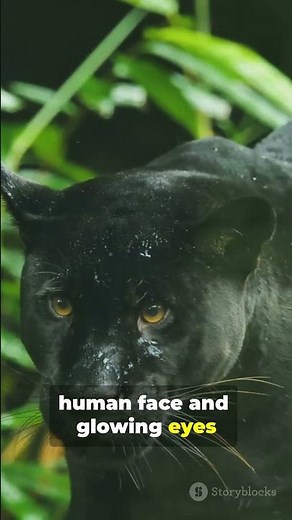 Cryptid Country Tour - Episode 9 Florida 🚌