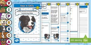Year 6 SATs Survival: Reading Revision & Practice Summarising Sheba Booklet