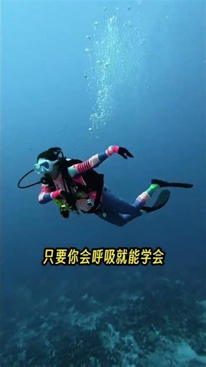 Free Diving vs. Scuba: Which is Right for Beginners