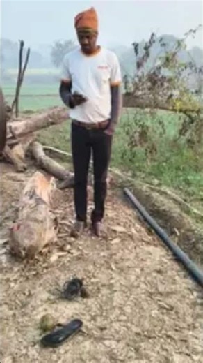 #sanidevkumar-v8r #trending #funny #ekmotahathighumechala #song #comedy