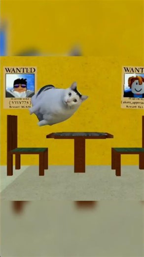 when huh cat meet toxic doge... #roblox #bloxfurit #memes