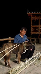 Watch the traditional process of crafting a bamboo fish trap, a tool mountain folk use to catch loaches. Experience the joy and skill involved in this age-old technique, bringing you closer to the fun and culture of life in the mountains! | Across Asia