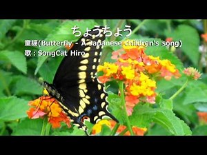 『ちょうちょう』（童謡） 歌：SongCat Hiro