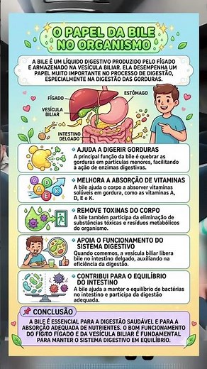 🟡 Para que serve a bile no corpo? Função surpreendente!