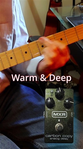 Analog vs Digital Delay 🎸 Which Sounds Better? (DD-2 vs Carbon Copy)