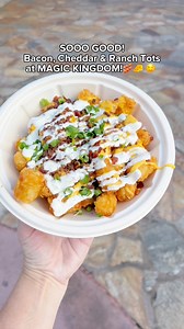 2.6K views | Bacon, Cheddar & Ranch Tots at Disney's Magic Kingdom!肋 Topped with ranch dressing and greens onions. One of my favorite savory snacks. Located at The Friar's Nook. #disney #disneyworld #disneyfood #waltdisneyworld #disneysnacks #disneyparks #magickingdom #disneytreats | Pixiedustedfun | Facebook