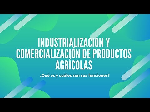Industrialización y Comercialización de productos agrícolas ¿Qué es y cuáles son sus funciones?