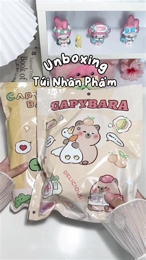 #unboxing #review #tuinhanpham #blindbag #xuhuong #fyp #viral
