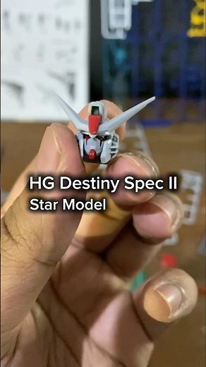 HG Destiny Spec II by Star Model