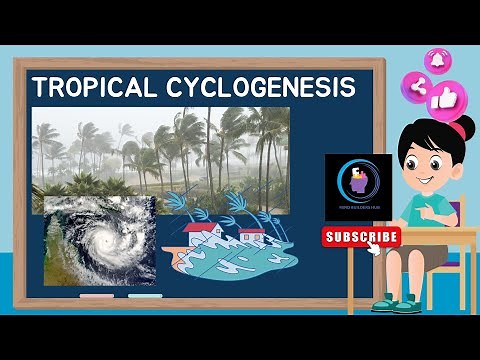 Let's Learn About Tropical Storms! What is Tropical Cyclogenesis? | Fun Science for Kids