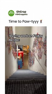 Cat: I haven't finished my work yet | Oh Crap