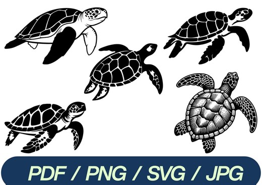 Sea Turtle Clipart Bundle | Black and White Ocean Animal Art (digital Download) - Etsy