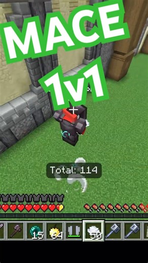 Ultimate Sibling Rivalry: The Mace 1v1 Win! 🔨💀