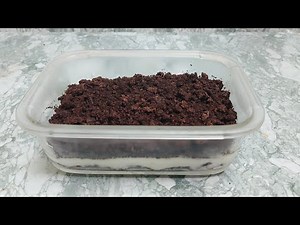 Oreo pudding recipe || very quickly made at home