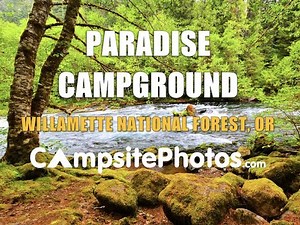 Paradise Campground, Willamette National Forest, Oregon