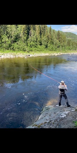 LTS Flyfishing on Reels