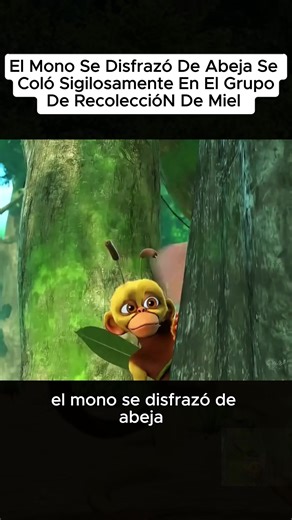 Exploring Cartoon Networks in the USA