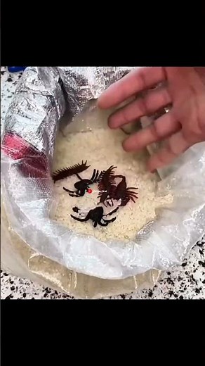 5 Genius Kitchen & Life Hacks You Must Try 🤯 | #shorts