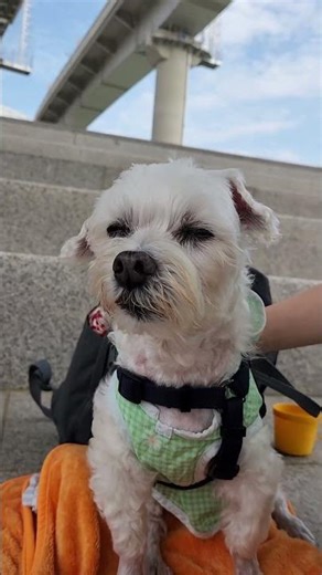 2025.09.08-18살/ 다리밑에서..