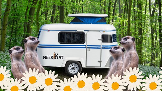 This Unique Trailer Is Called a MeerKat