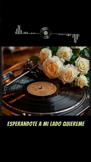 Los Temerarios, Viento Y Sol, Bryndis, Samuray, Los Bukis y Más 🔥 Mix Románticas Gruperas 80s y 90s