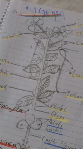 Online Typing Assignment Jobs Available For Pakistani Students Girls Boys Daily Based Earning #assignmentwork #online_typing #onlineassignmentwork #onlinetypingjob #onlinetypingworkassignmentunderstood #assignmentworkavailable #onlineassignmentworkavailable #assignmentwork #onlineassignmentworkavailable #foryou #viralvideo #trending