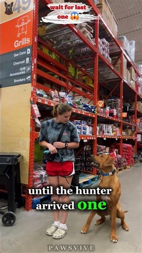 3 Dogs That Hunt Things Bigger Than Themselves… #1 Will Shock You.