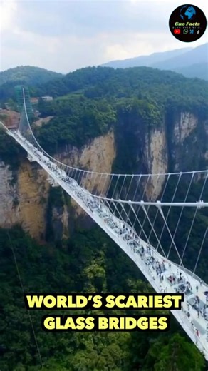 World’s Scariest Glass Bridges You’ll Never Dare to Cross 😱