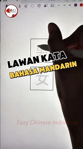 Tingkatkan Kosakata Mandarin dengan Lawan Kata! #belajarmandarin