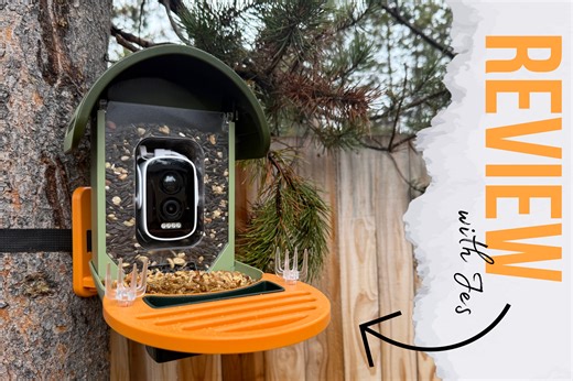 Watch An in-depth look at this smart feeder & food I use in setup! on Amazon Live
