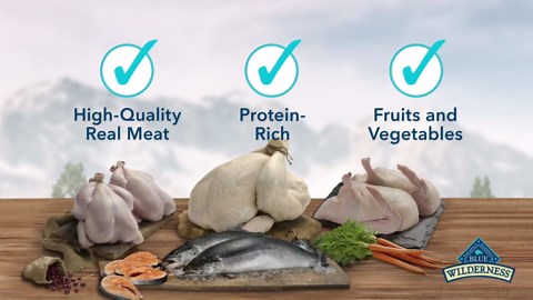 Garden Hose Connector, Male to Male Hose Adapter, 2 Pack 3/4 Inch Brass Water Hose Connector for Female Hose to Female Hose,(3/4" GHT Double Male)