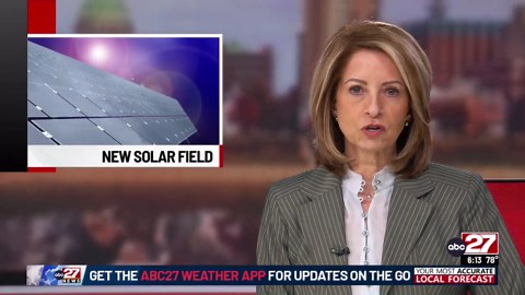 Solar field opens in Cumberland County -- and it comes with its own sheep