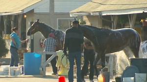 Kentucky Derby's unsung heroes