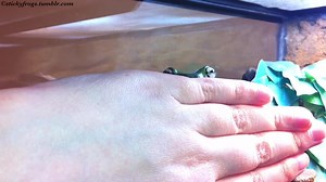 22K views · 889 reactions | Suddenly Round Frog! | Stickyfrogs | Facebook