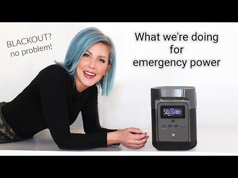 What We're Doing for Emergency Power | EcoFlow Delta Mini