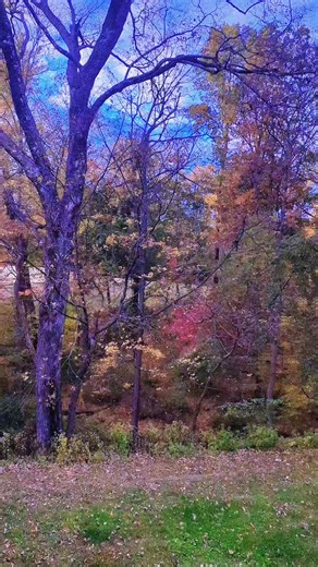 Holly Golightly (@hollyelisabethnie)’s videos with original sound - Holly Golightly