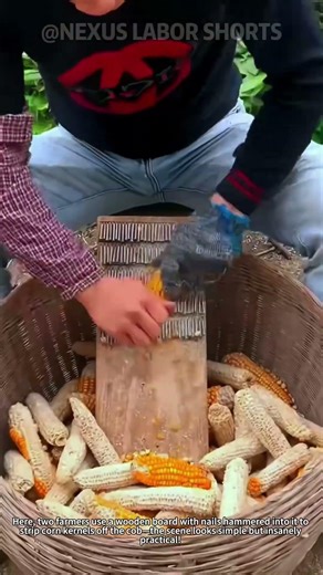 DIY Nail Board for Corn Threshing | Easy Rural Farm Hack