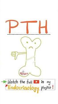 Parathyroid Hormone (PTH) - Vitamin D - Fat-Soluble Vitamins - Bone & Teeth - Diet & Nutrition.