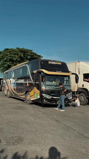 Discover the New Style Trends with Bus NPM