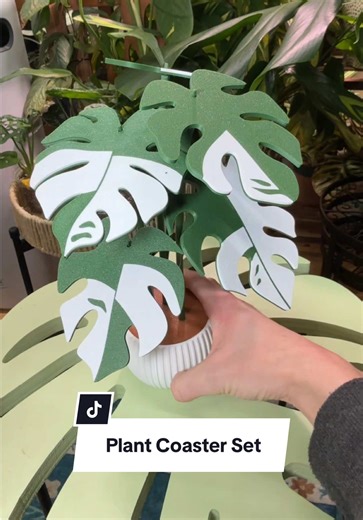 Monstera Plant Coaster Set for Stylish Home Decor