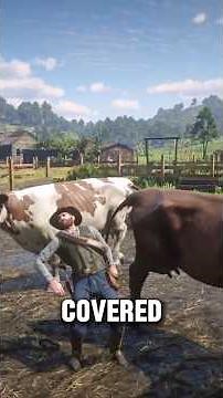 How to Make Unlimited Money in Red Dead Redemption 2 | K in Game