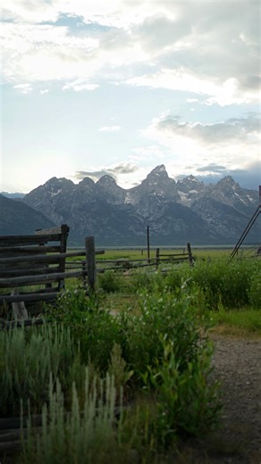 RUBY THIERJUNG on Instagram: "This too shall pass Vocals: @lillaymae 🤍"