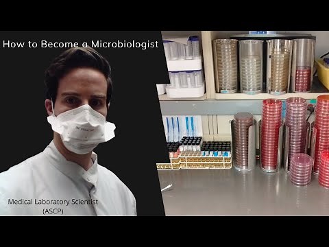 How to Become a Microbiologist - 3 Routes to Follow
