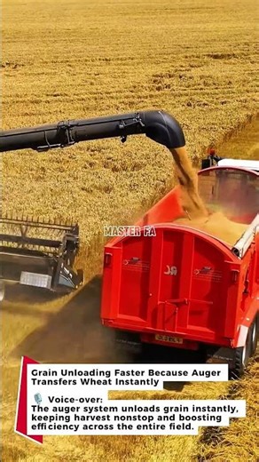 Grain Unloading Faster Because Auger Transfers Wheat Instantly #harvester #grain #farming