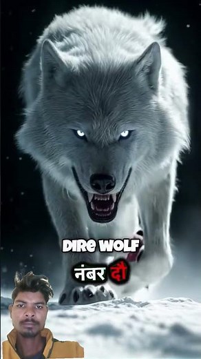 Top 5 Extinct Animals Caught on Camera 📸 #facts #animals #shorts