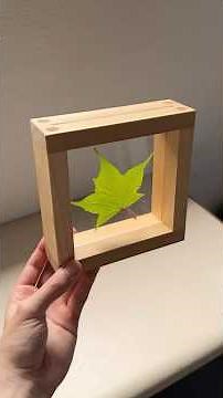DIY Floating Frame - Capturing a Leaf in time #woodworking #diy #shorts