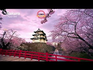 Sakura - Fariz RM (1980) HQ