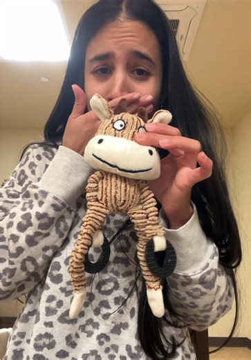 Incredible Shein Dog Clothes Haul